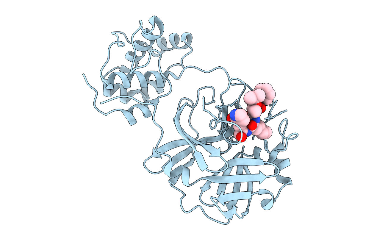 2GX4 image