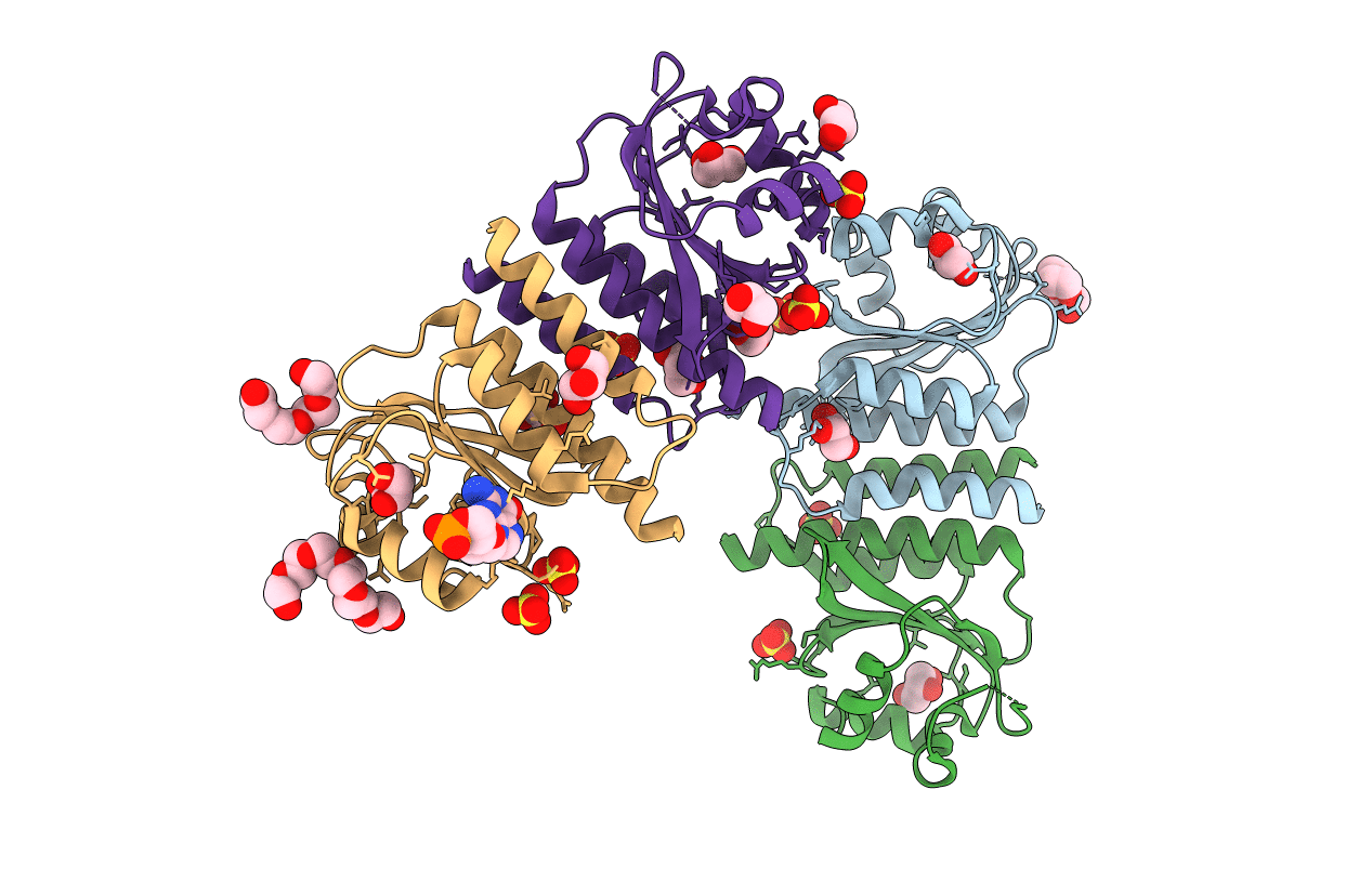 2GX5 image