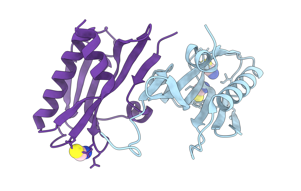 2GX9 image