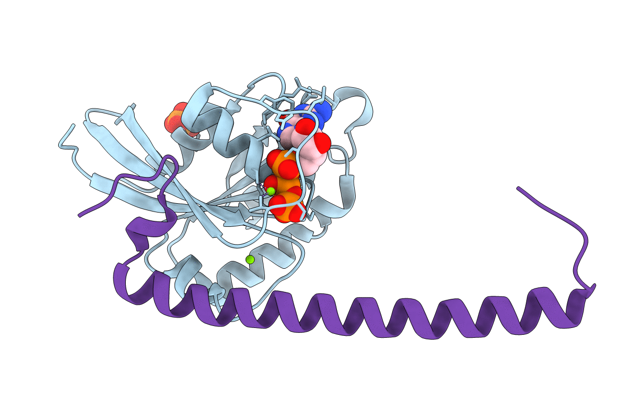 2GZH image