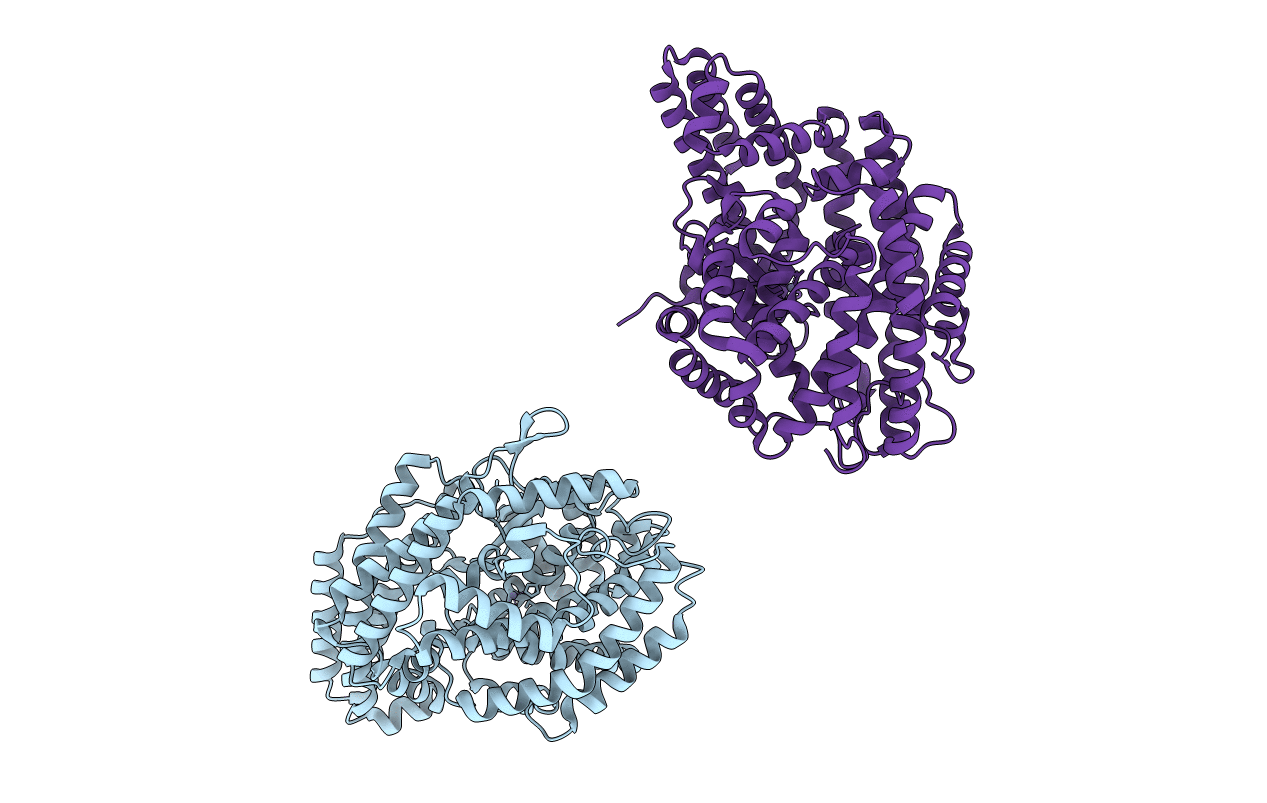 2H1N image
