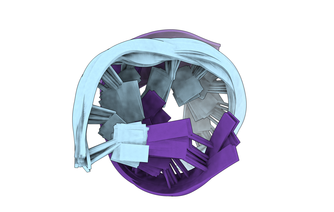 2H49 image