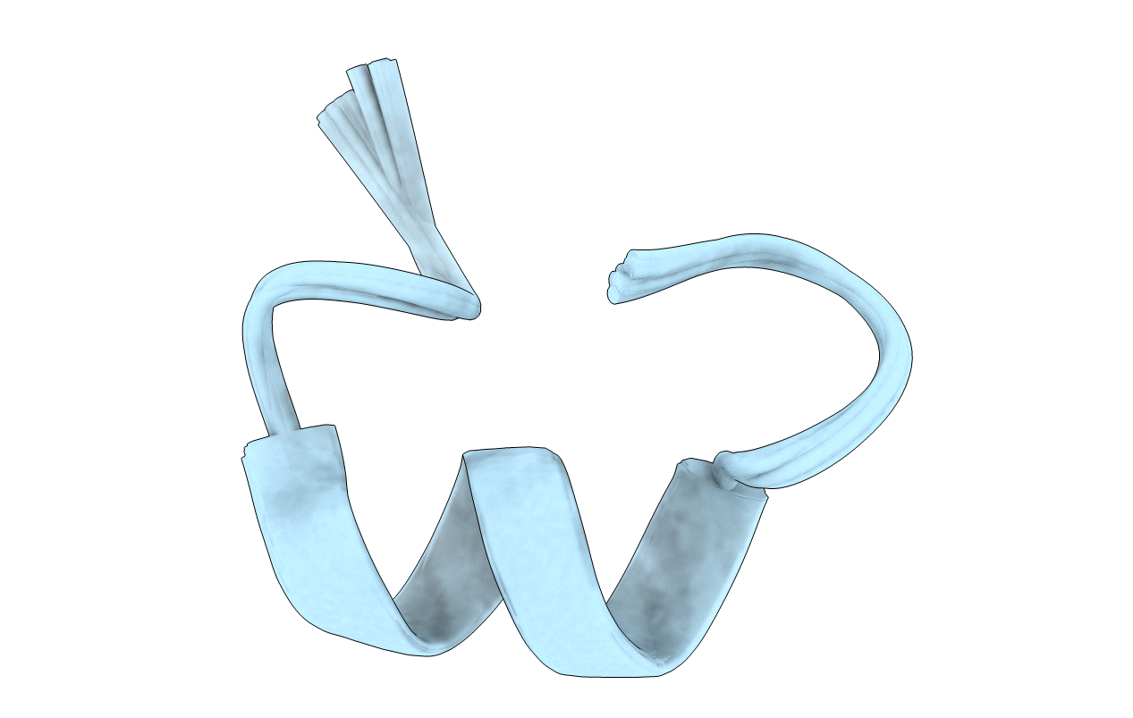 2H8S image
