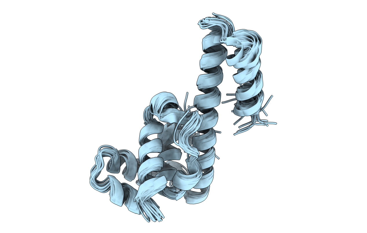 2HAJ image