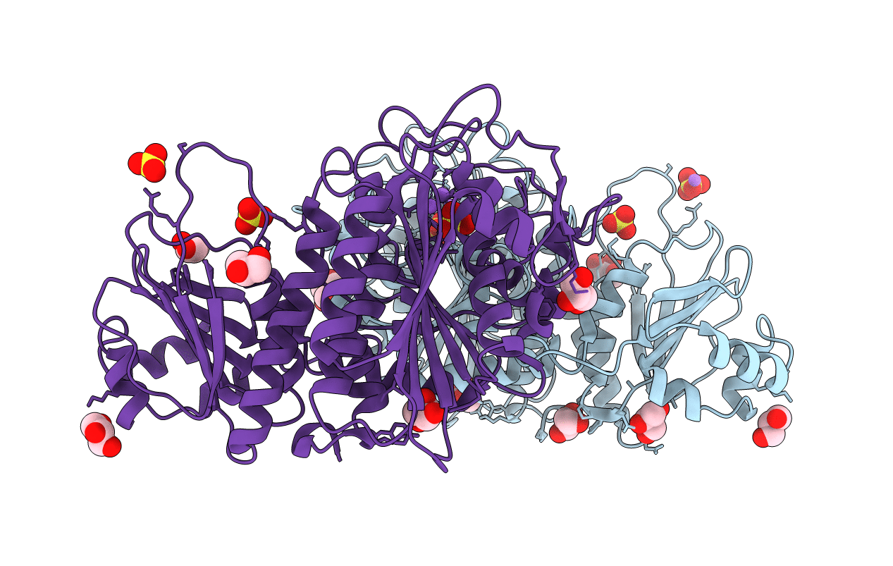 2HB6 image