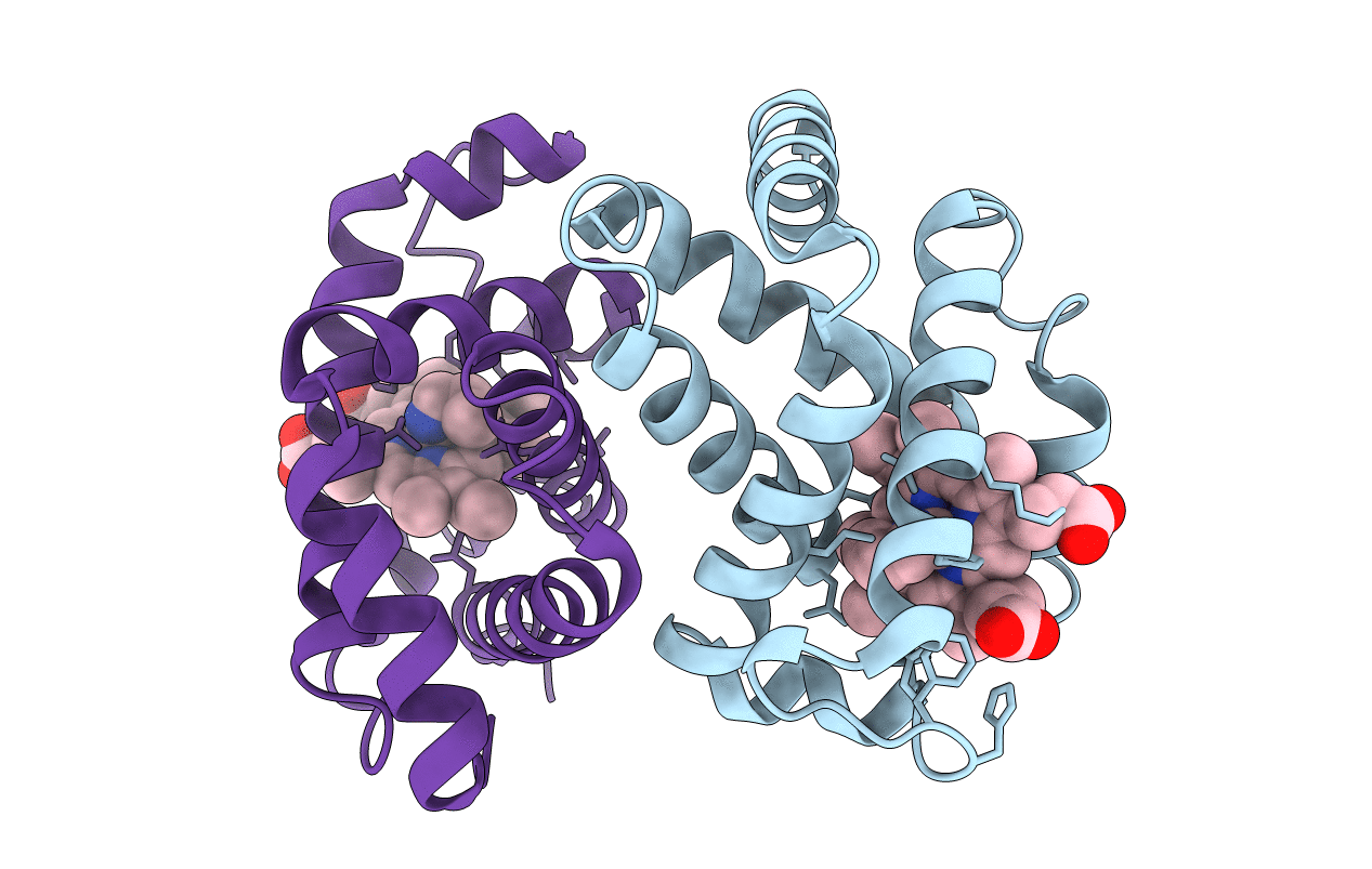 2HBF image