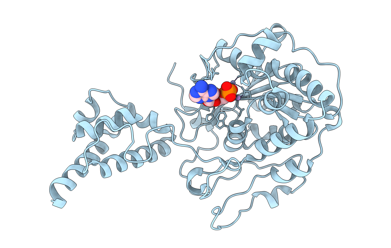 2HBL image
