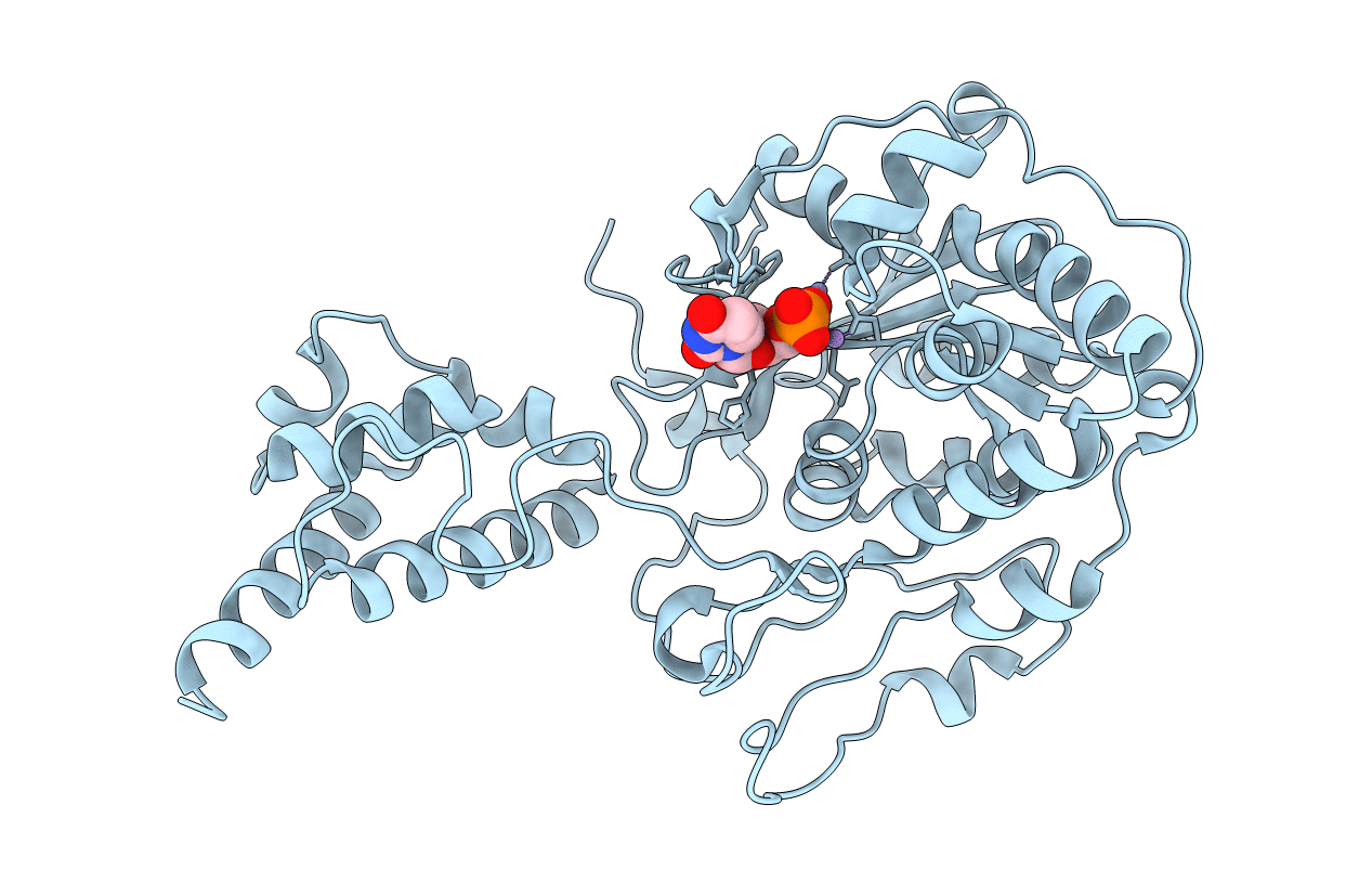 2HBM image