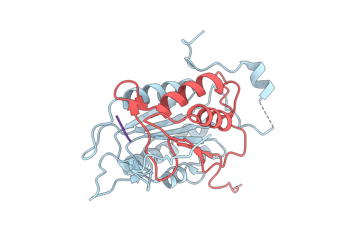 2HBQ image