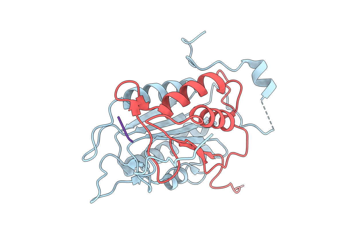 2HBR image