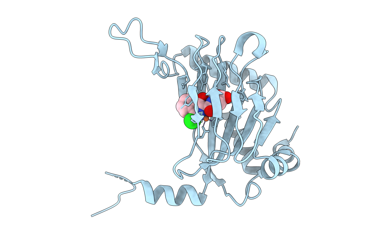 2HBT image