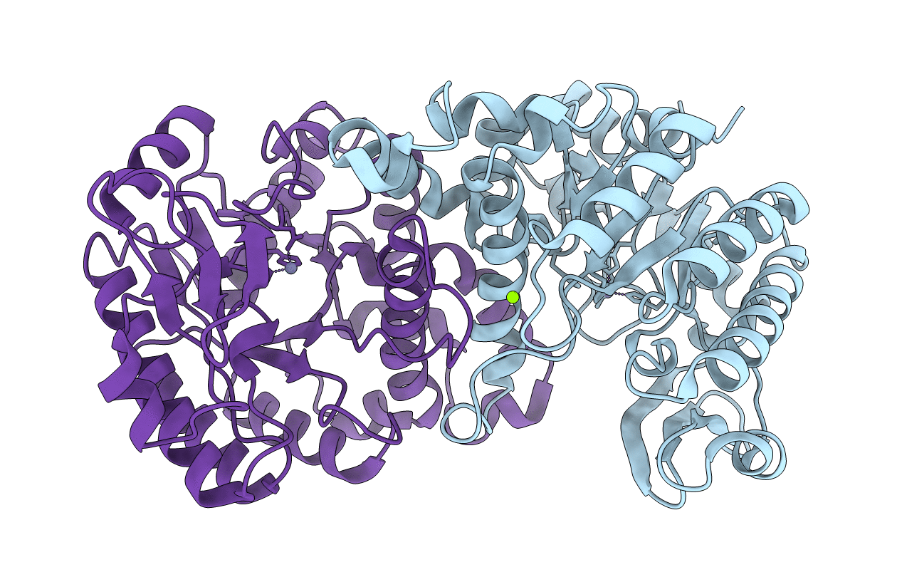 2HBV image