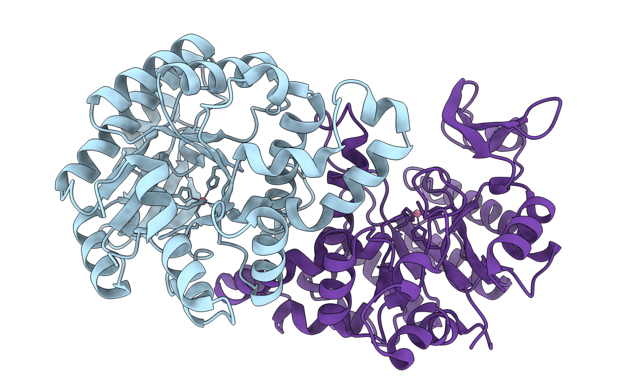 2HBX image
