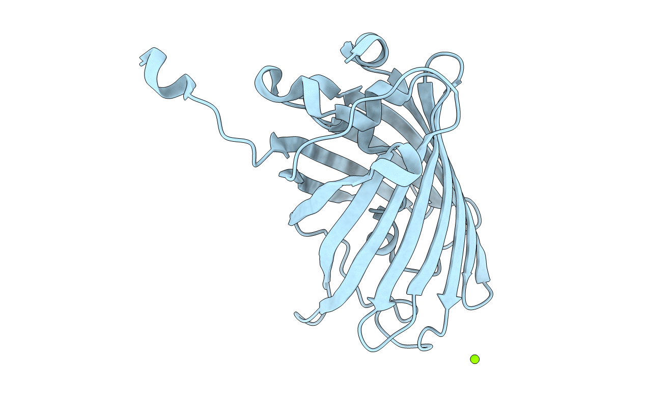 2HCG image