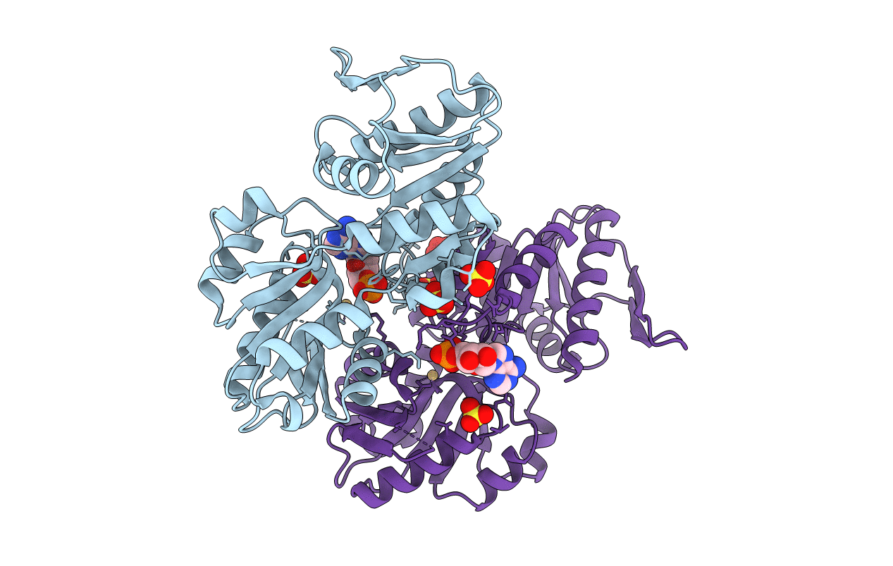 2HCR image
