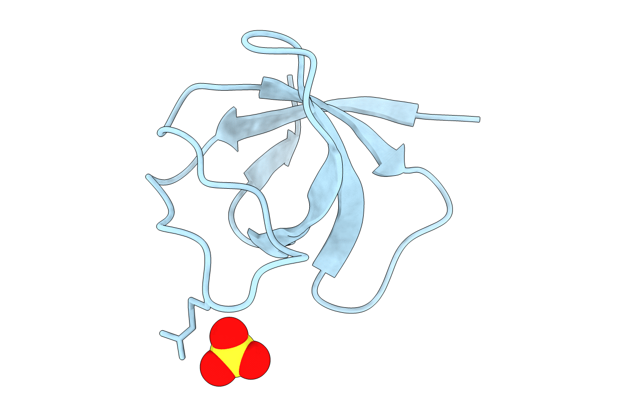 2HDA image