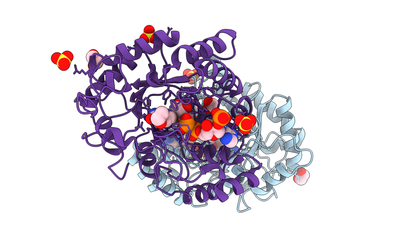 2HDJ image