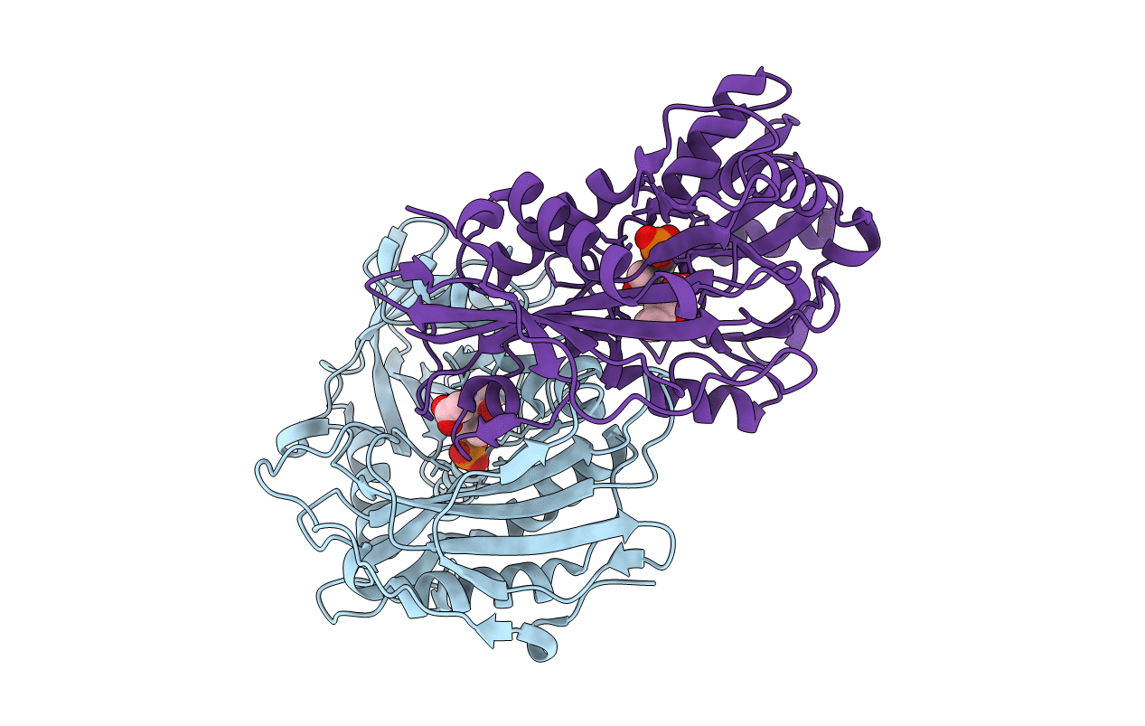 2HDK image