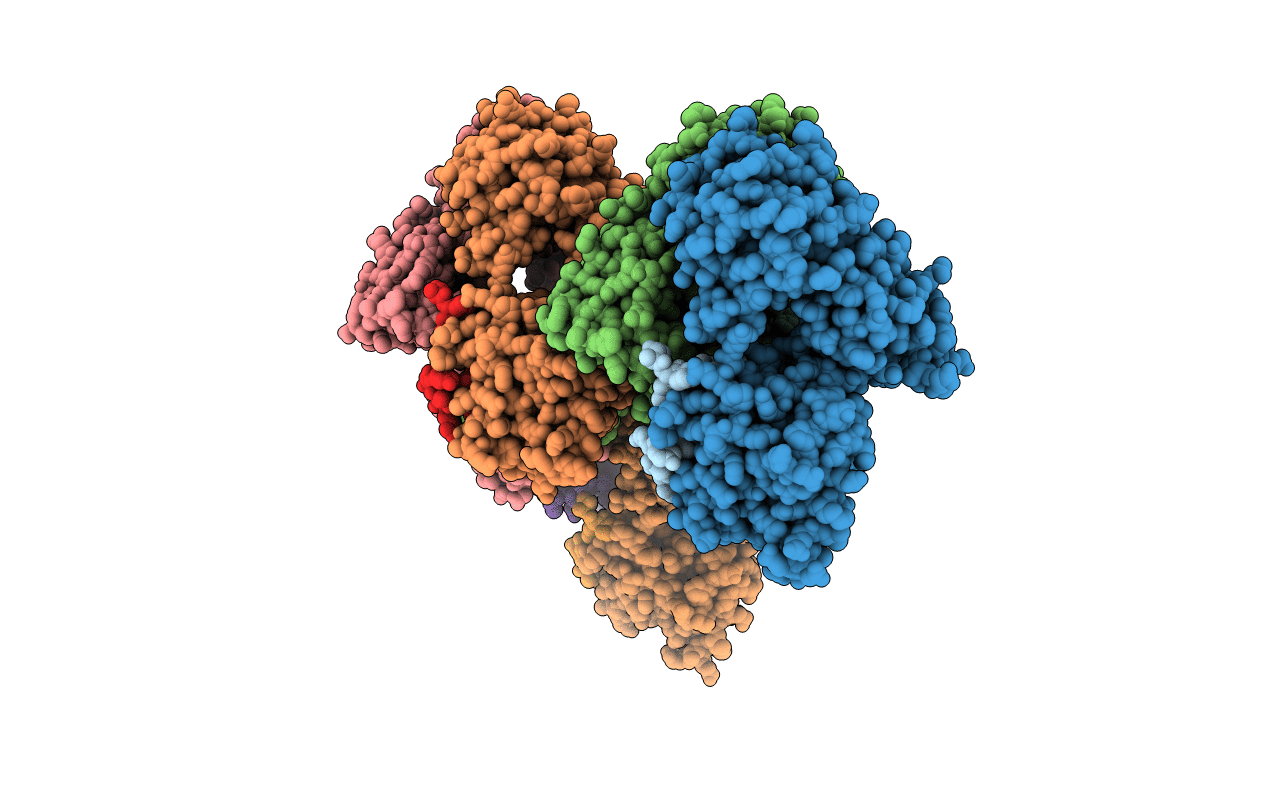 2HDN image