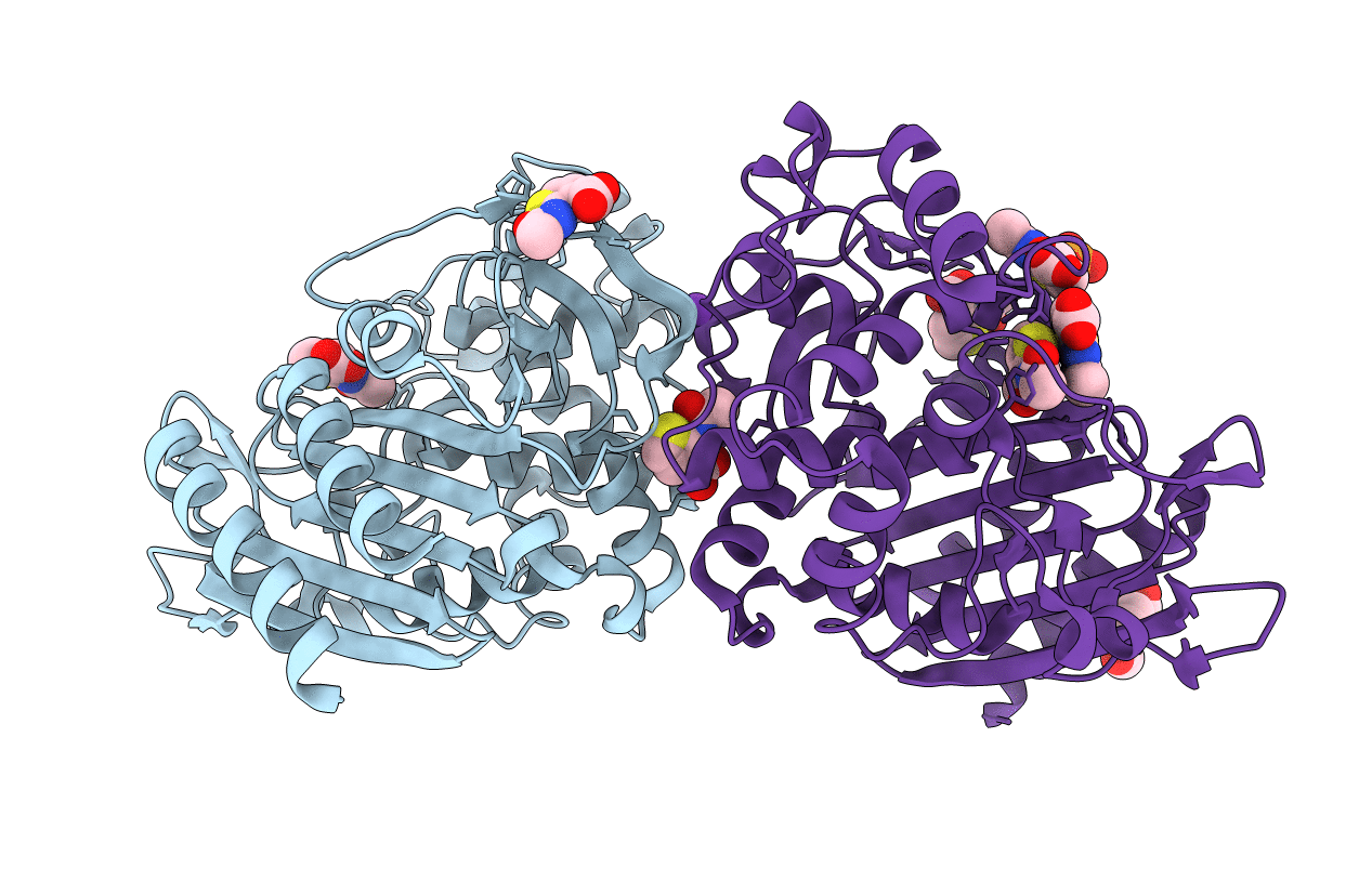 2HDU image