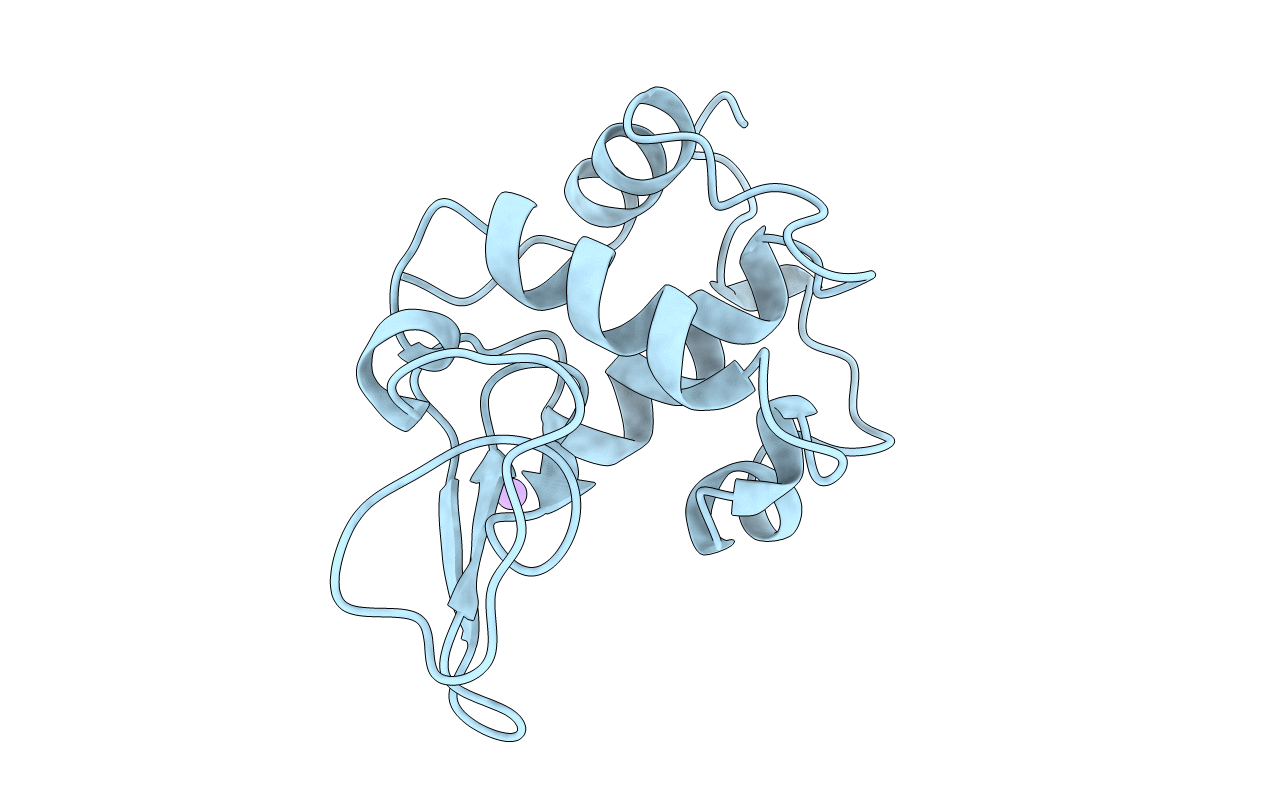 2HEC image