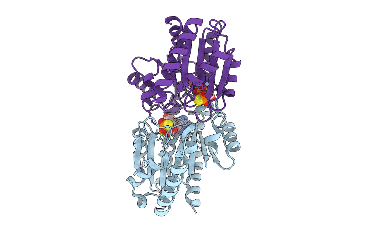 2HF9 image