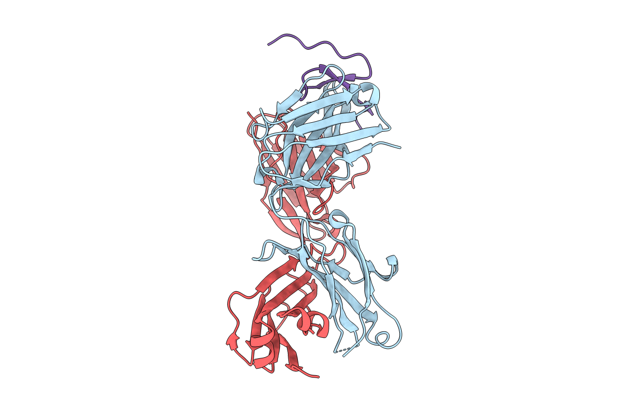 2HFG image