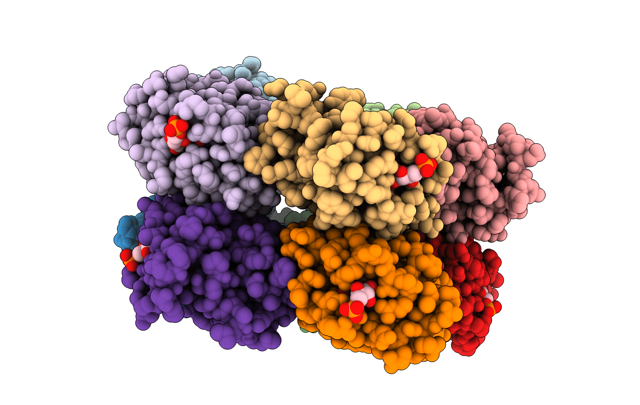 2HFN image