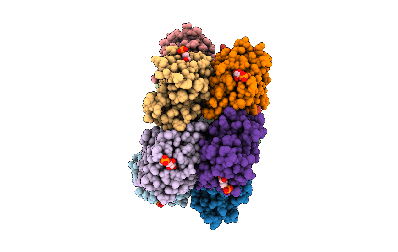 2HFO image