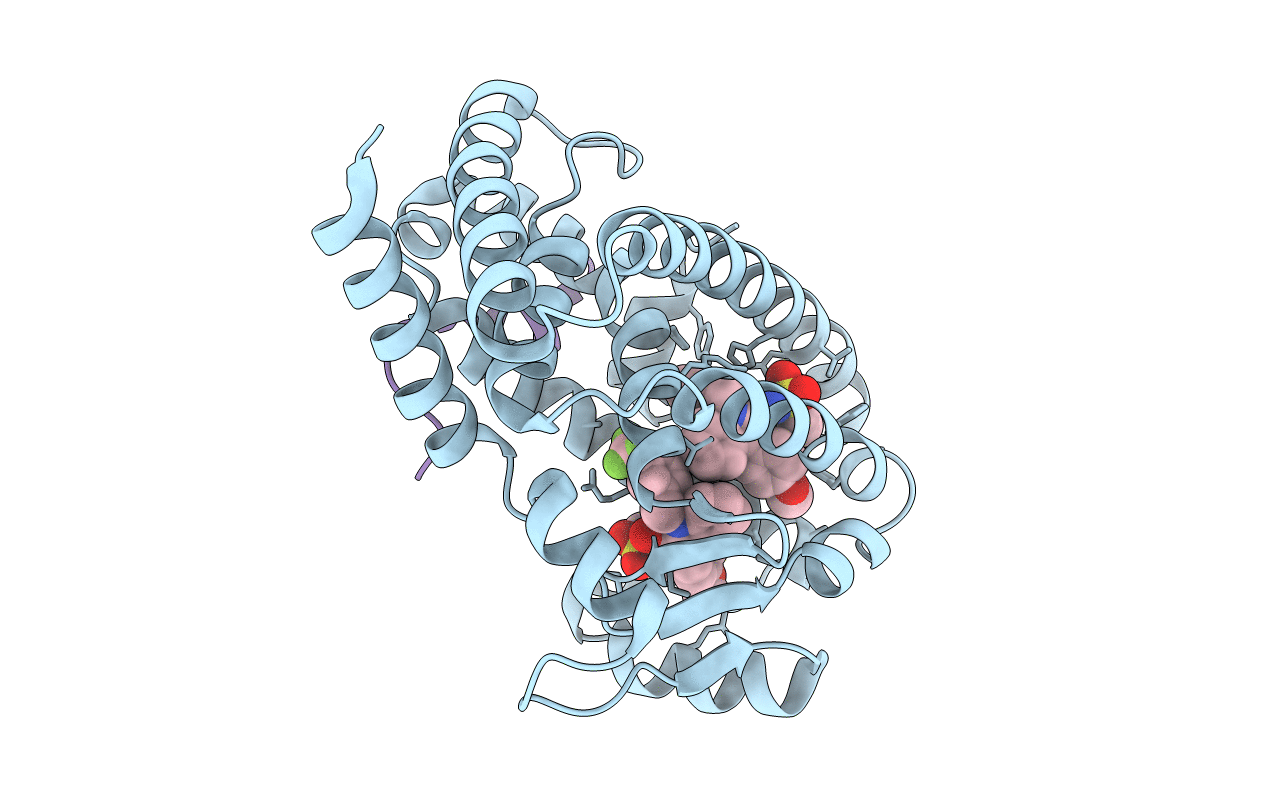 2HFP image