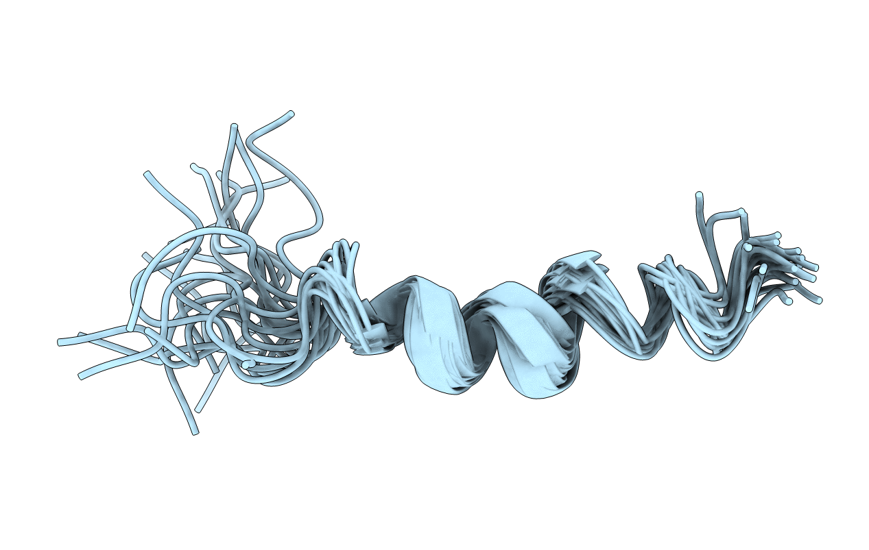2HFR image