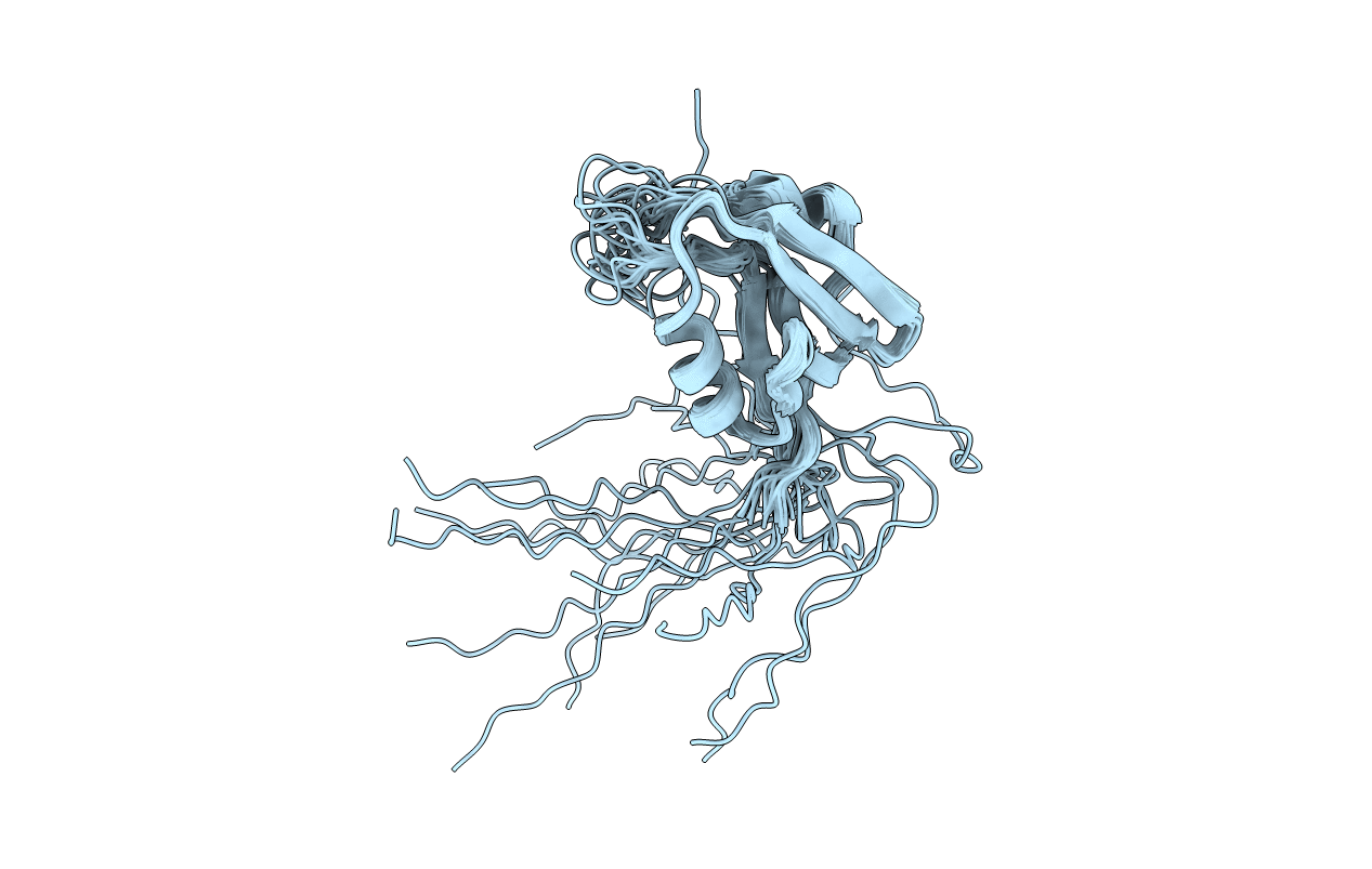 2HGA image