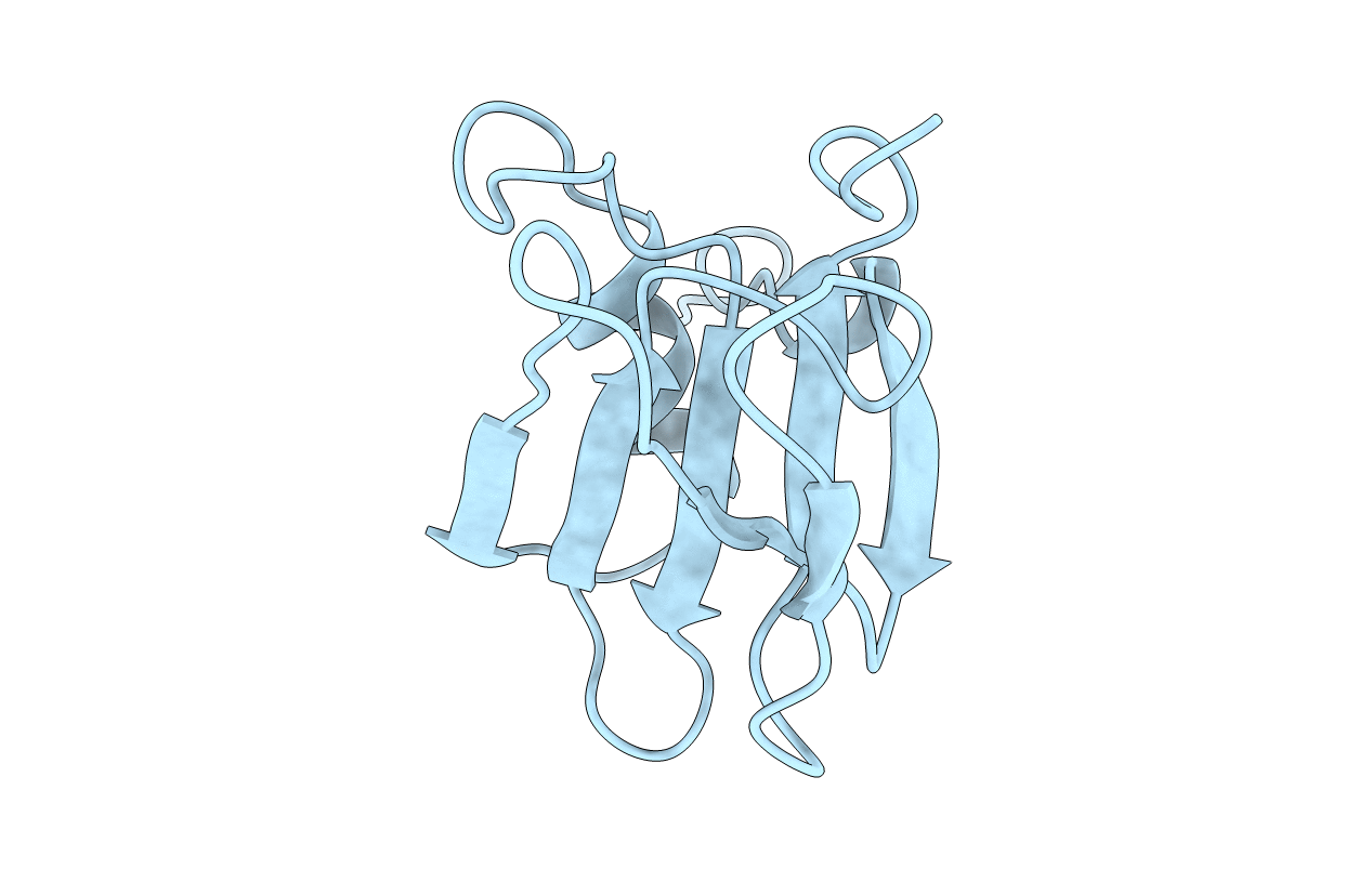 2HGF image