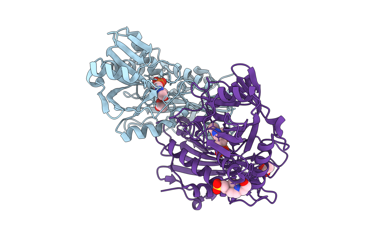 2HGX image