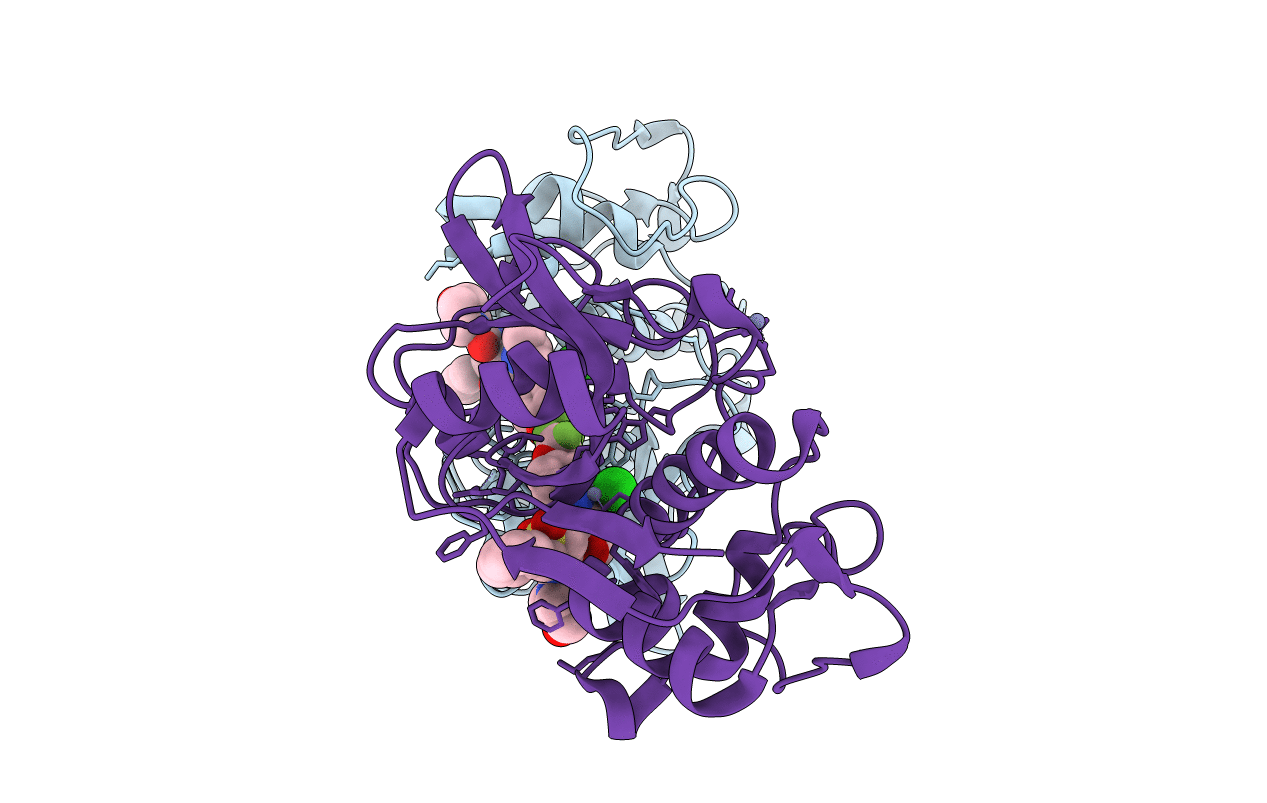 2HH5 image