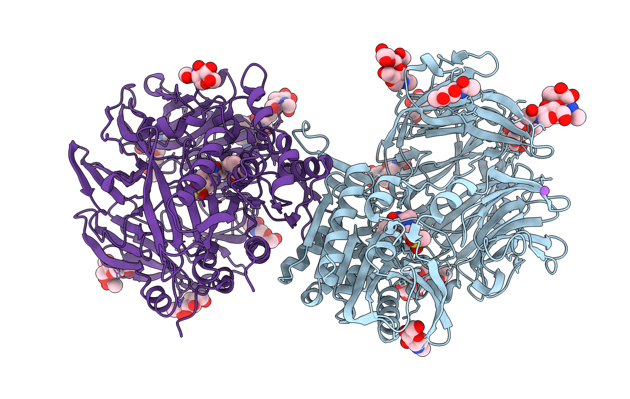 2HHA image