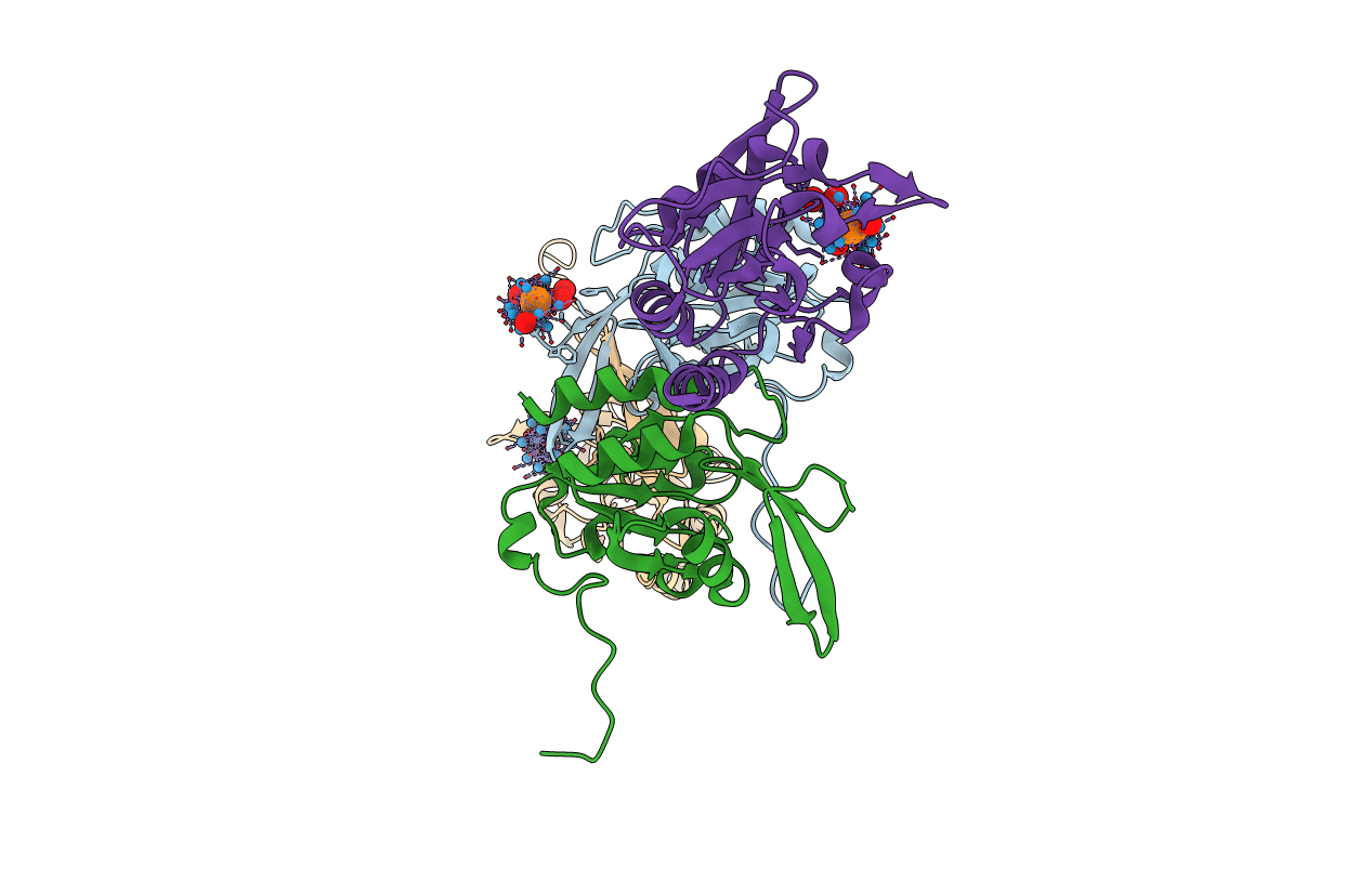 2HHL image