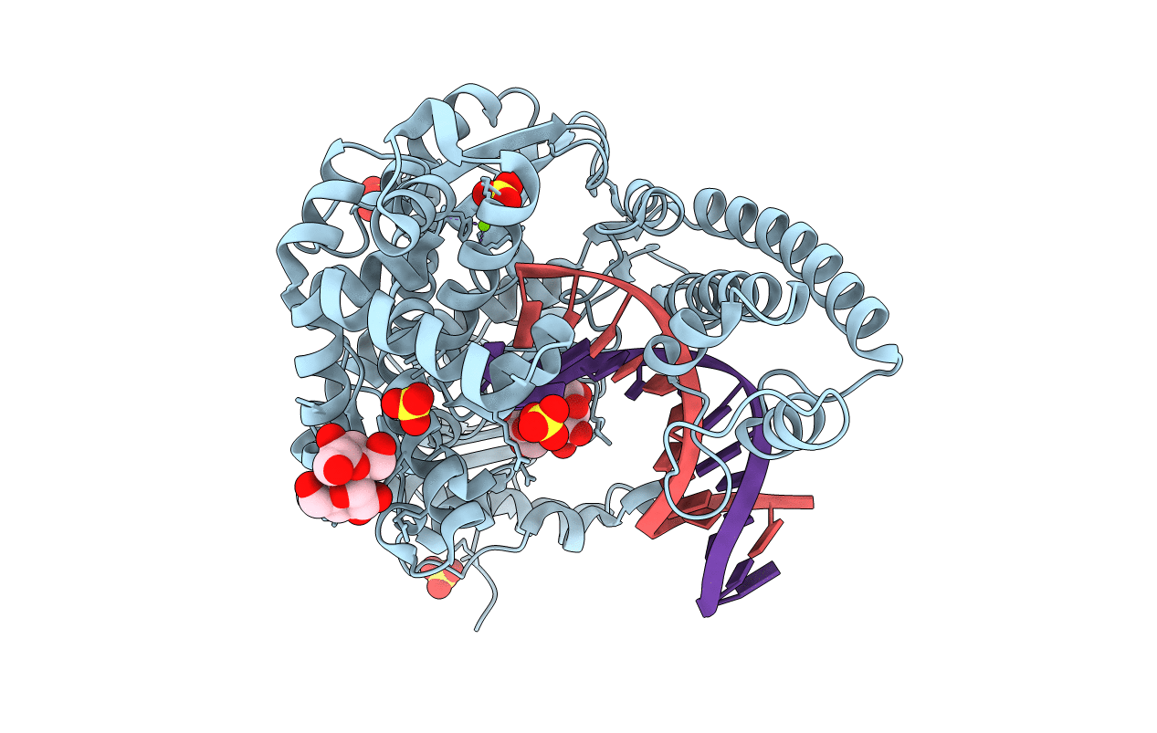 2HHT image