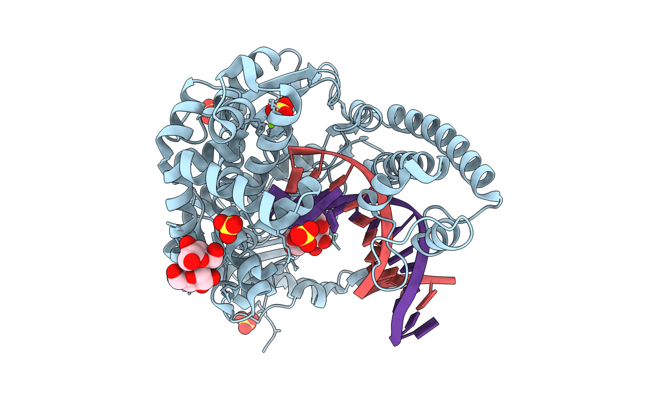 2HHV image