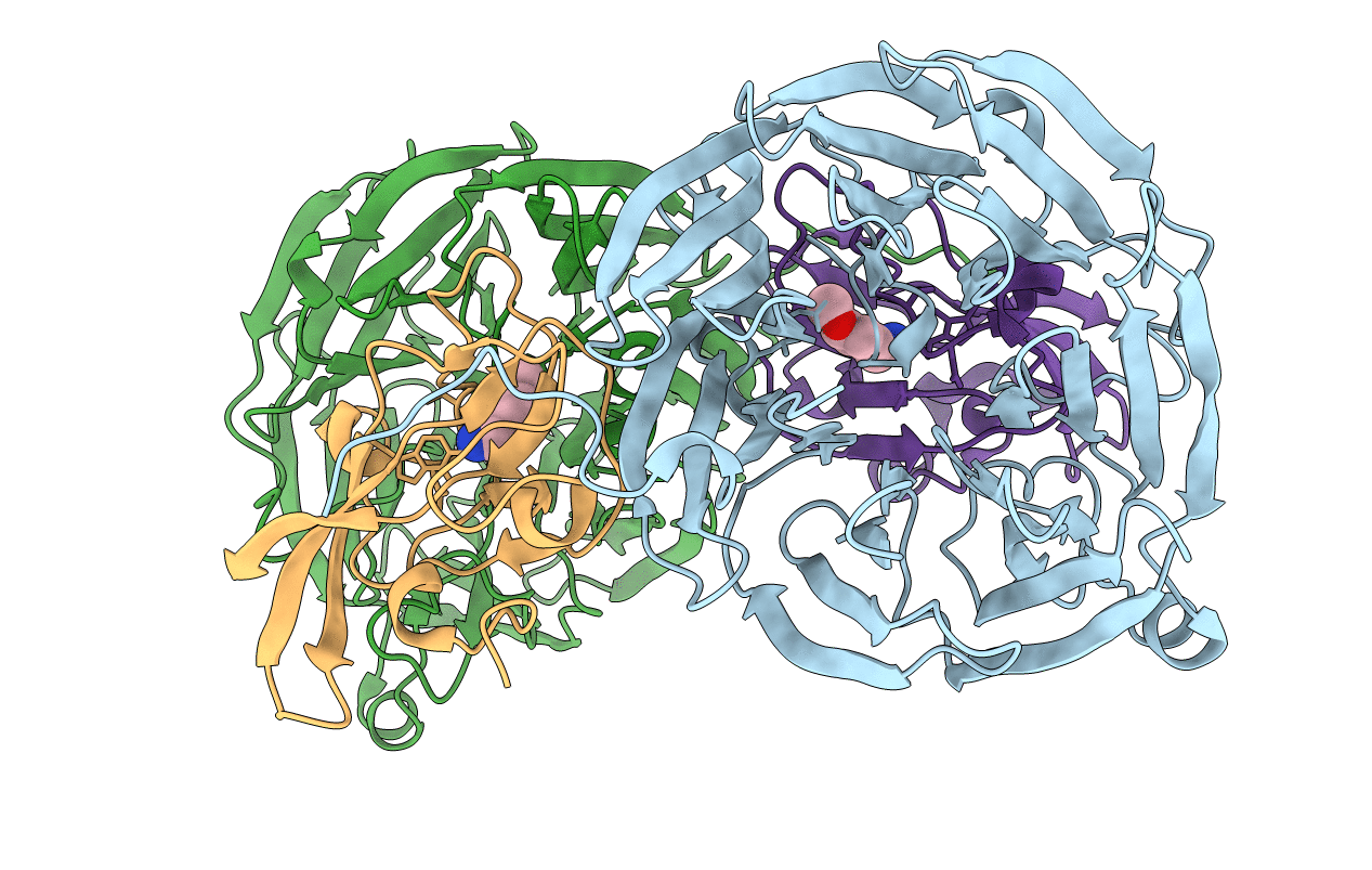 2HJB image