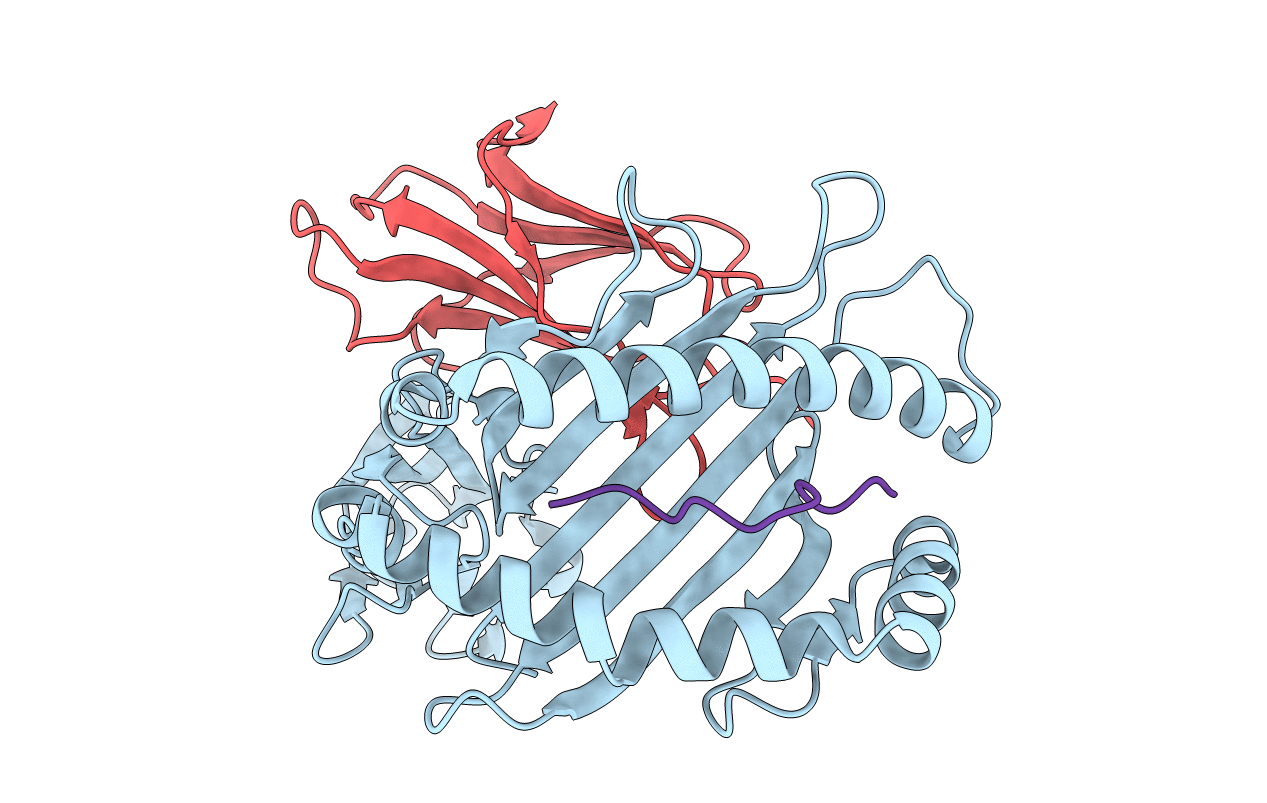 2hjk image
