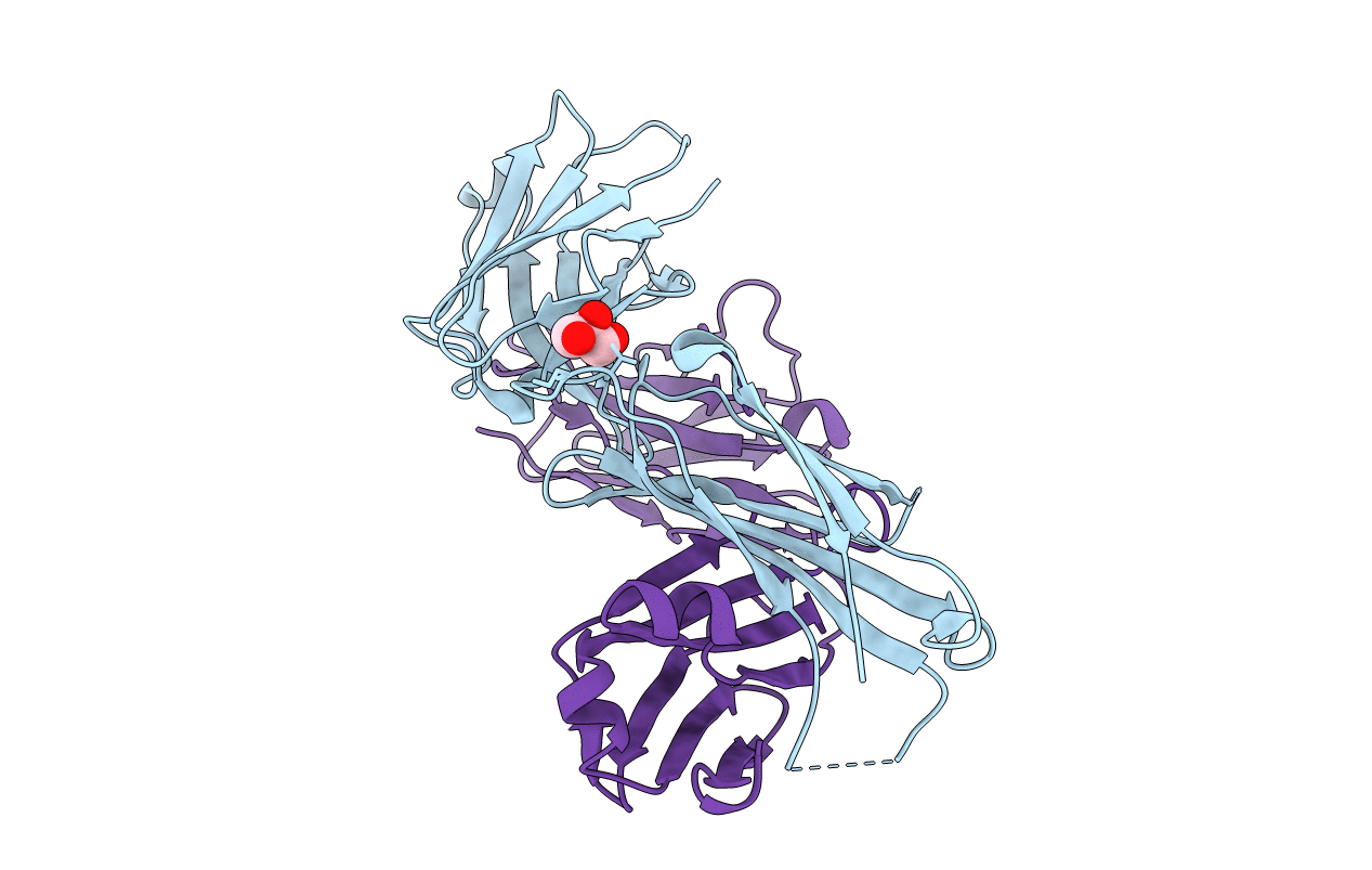 2HKH image