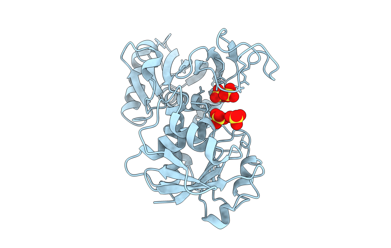 2HKI image