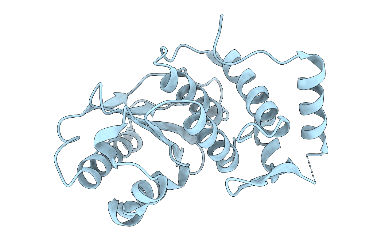 2HKP image