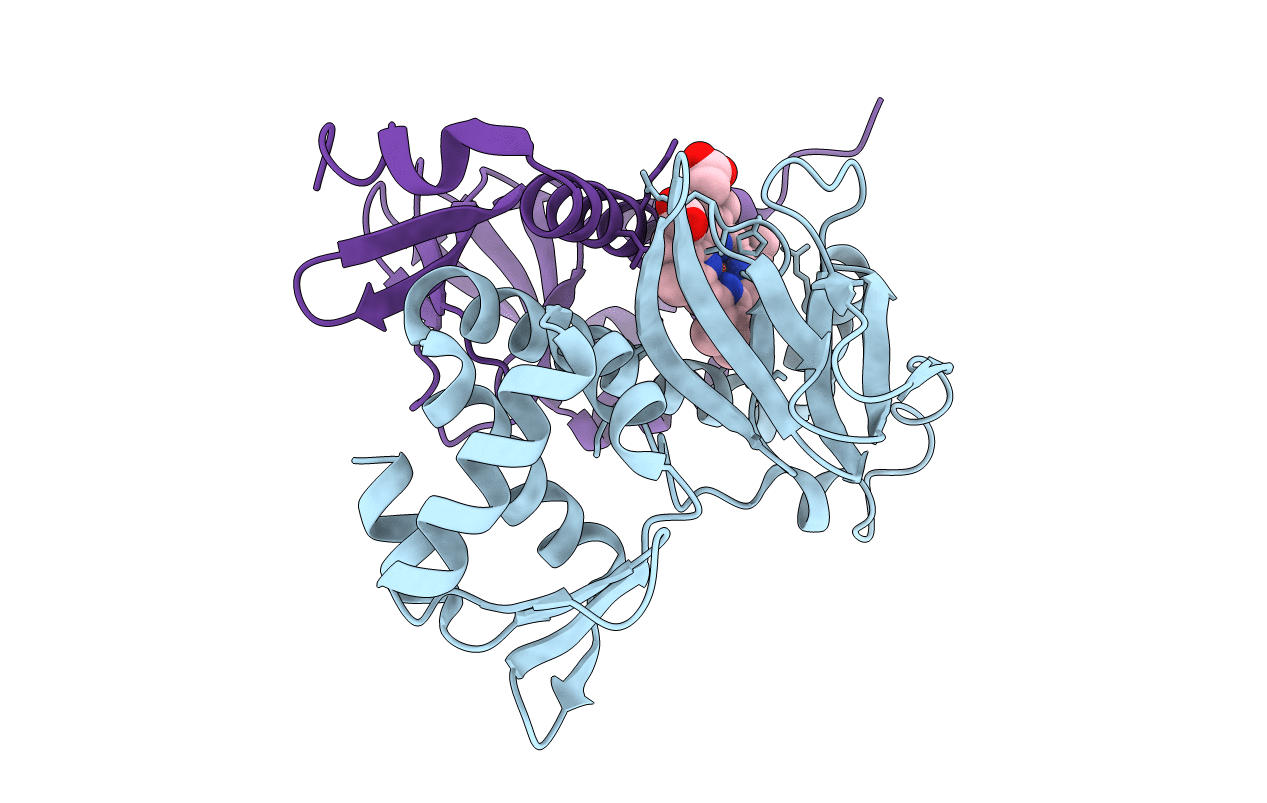 2HKX image
