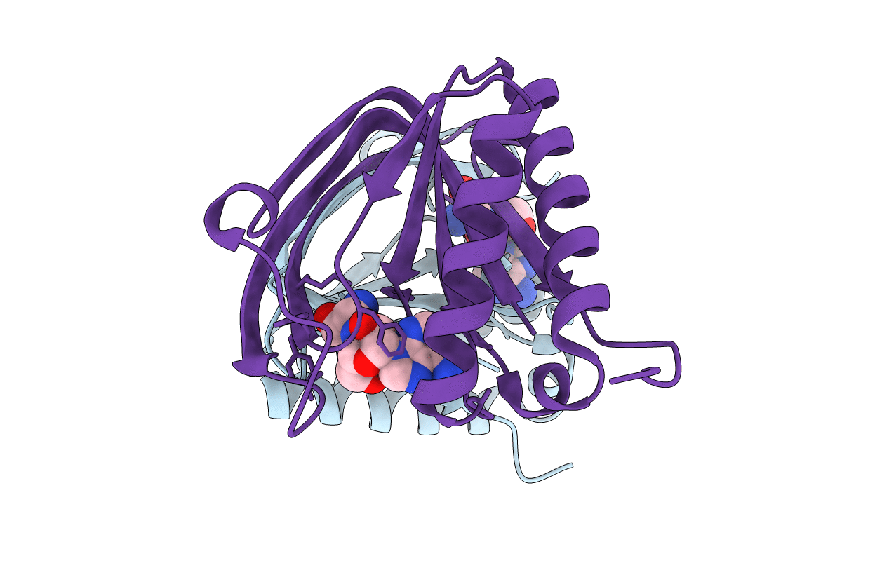 2HL1 image