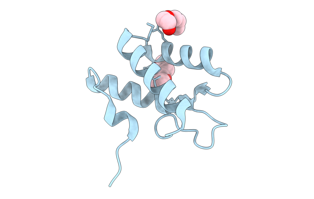 2HL7 image