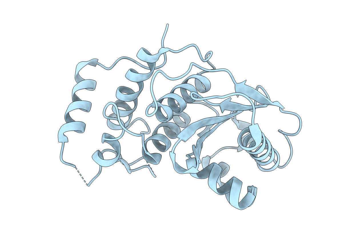 2HL8 image