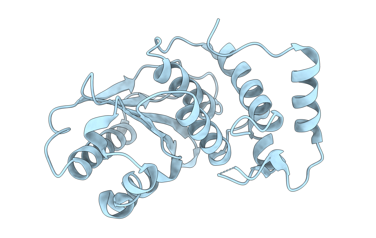 2HL9 image