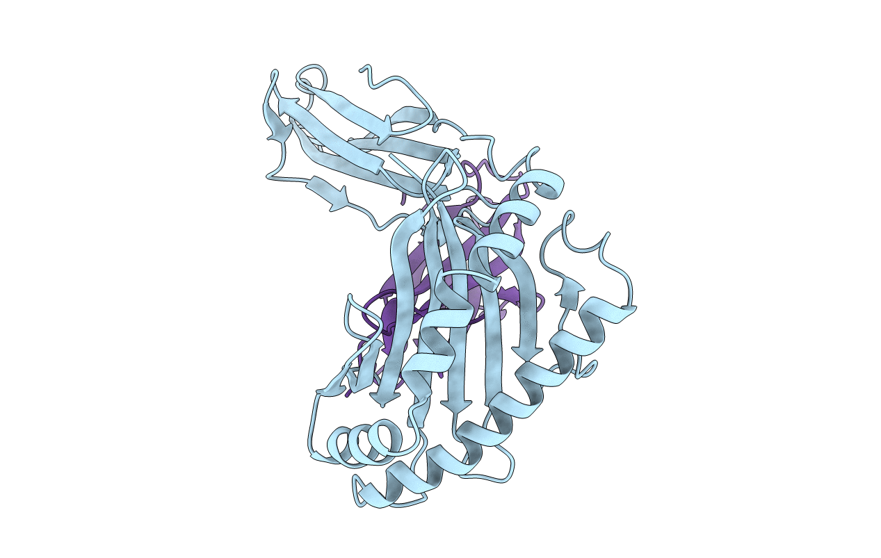 2HLA image